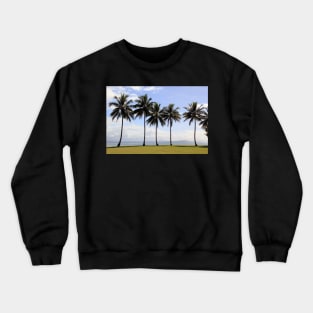 Coconut Palms, Rex Smeal Park, Port Douglas, Queensland Crewneck Sweatshirt